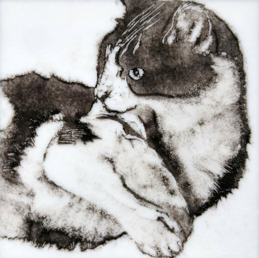 image-900020-Classes-_Pet_Portrait_7-c20ad.w640.jpg